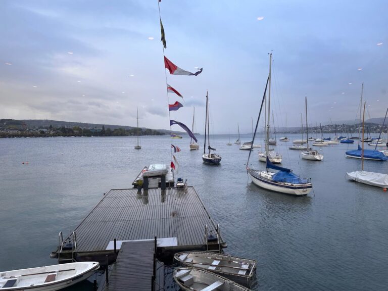 WhatsApp Image 2025-12-21 at 20.59.45 (1)